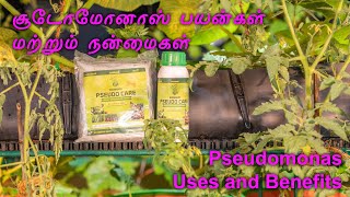 சூடோமோனாஸ் பயன்கள் மற்றும் நன்மைகள் Pseudomonas Uses and Benefits [upl. by Celia431]