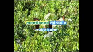 THE MIRACLE The Stylistics Karaoke [upl. by Bron]