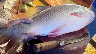 Amazing Cutting Skills  Giant Rohu Fish Cutting Skills By Expert Fish Cutter [upl. by Acquah]