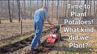 How Pa Plants his PotatoesWhat kind did we Plant [upl. by Bee]