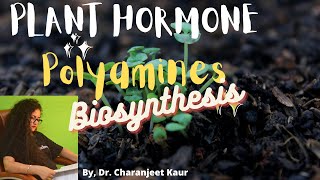 Plant Hormones  Polyamines  Biosynthesis  Dr  Charanjeet Kaur [upl. by Silverts847]