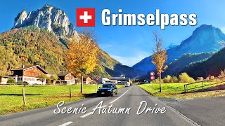 Grimselpass Switzerland 🇨🇭 Scenic Autumn Drive 🍂 4K [upl. by Surtimed864]