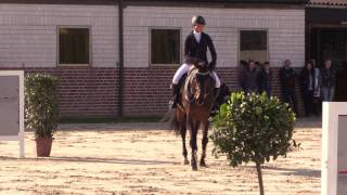 Hengstschau Ligges 2017 Dembelé Diamant De Semilly x Cornet Obolensky [upl. by Fiorenza]