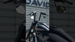 Midnight Rider softail breakout harleydavidson [upl. by Arteid965]