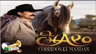 El Chapo de Sinaloa  Corridos ke Mandan  ALBUM [upl. by Mahseh]