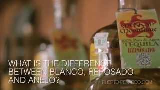 What is the difference between Blanco Reposado and Añejo Tequila [upl. by Anavrin]