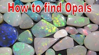 How to find Opals  Coober Pedy  Liz Kreate [upl. by Faythe]