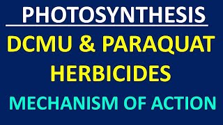 DCMU amp Paraquat Herbicides [upl. by Lorena]