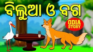 ବିଲୁଆ ଓ ବଗ  The Fox and The Stork in Odia  Odia Story  Fairy Tales in Odia  Koo Koo TV [upl. by Bil]