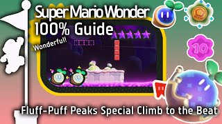 Fluff Puff Peaks Special Climb to the Beat Super Mario Bros Wonder Guide [upl. by Novy]