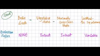 Brainstem death vs Vegetative state vs minimally conscious state vs Lockedin syndrome [upl. by Yelrak]