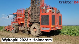 Wykopki buraków 2023 z Holmerem Terra Dos T3 [upl. by Arabel]