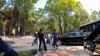 Ciclista atropellada en Sendero Reforma CDMX 2020 [upl. by Dee Dee96]