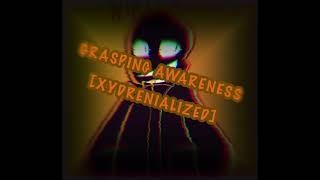 Grasping Awareness  Xydrenialized [upl. by Anael991]