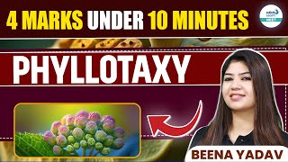 What is Phyllotaxy Quick amp Simple Explanation  NEET 2025  Class 11 Botany  infinitylearnNEET [upl. by Semele]