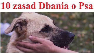 10 zasad odpowiedniego Dbania o Psa [upl. by Glennie]