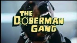 فيلم عصابة الكلاب ١٩٧٢  The Doberman Gang  نسخة ترجمها Kareem kiki [upl. by Radburn105]