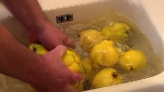 Comment faire de la gelée de coings  Quince jelly [upl. by Hornstein]