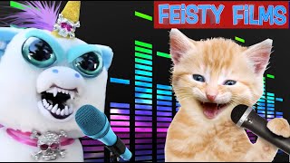 Crazy Feisty Songs Compilation Vol 4 [upl. by Mcwilliams377]