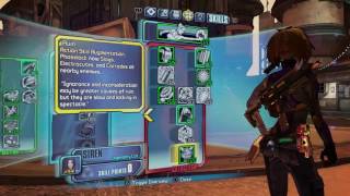 OP 8 Maya BeeHawk Build Legendary Cat Borderlands 2 [upl. by Enerol]