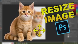 How to Resize Images in Photoshop Without Loosing the Quality 2024 [upl. by Hobey]