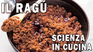 IL RAGÚ  La Scienza in Cucina [upl. by Dyun799]