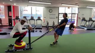 The Rogue Dog Sled 12 at Different Breed Sports Academy [upl. by Shiri]