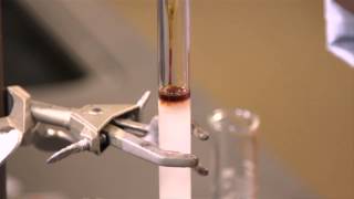 Loading a Sample on a Column Chromatography [upl. by Reel]