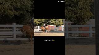 I know it was small but my seat …😍 fypシ゚ horsey edit horseenthusiast horse equestrianvibes [upl. by Anawal]