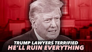 Trumps Lawyers Terrified Hell Dig His Own Grave During Criminal Trial [upl. by Aramat]