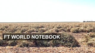 California gripped by drought  FT World Notebook [upl. by Maurits834]