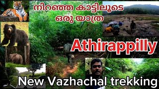 വിശദമായ 15 km വീഡിയോ Trekking Vazhachal sholayar foresttravelvideoNew thick forest trekking [upl. by Killion]