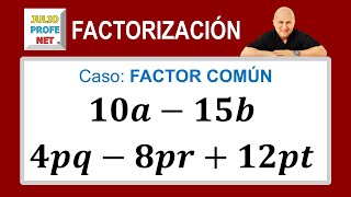 FACTOR COMÚN [upl. by Eicarg761]