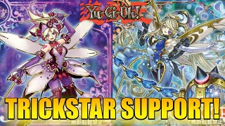 IS IT GOOD NEW TRICKSTAR SUPPORT REVEALED  YuGiOh [upl. by Lellih271]