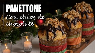 PANETTONE CON CHIPS DE CHOCOLATE  Pan Dulce  Receta Navideña 🎁🎄 [upl. by Kenzie]