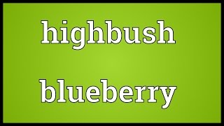 Highbush blueberry Meaning [upl. by Lebyram520]