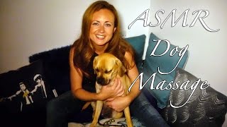 \ Binaural ASMR Dog Massage amp Channel Update \ [upl. by Oria]