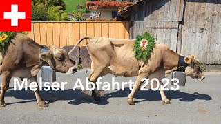 Abfahrt 2023 Mels Heidiland [upl. by Eenalem803]