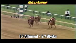 Alydar y Affirmed eternos rivales del Turf [upl. by Aeiram121]