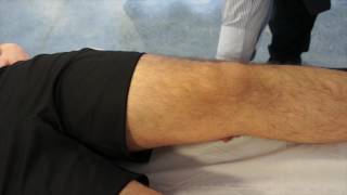 Ballotable Patella Test [upl. by Couq]