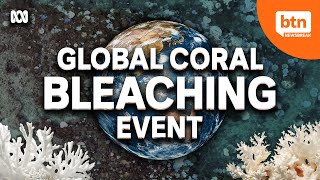 Scientists Declare Fourth Mass Coral Bleaching Event [upl. by Islek]