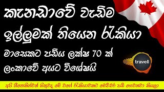 කැනඩාවේ වැඩිම ඉල්ලුමක් තියෙන රැකියා 2023  Most InDemand Jobs in Canada 2023  Highest Paying Jobs [upl. by Elyn]