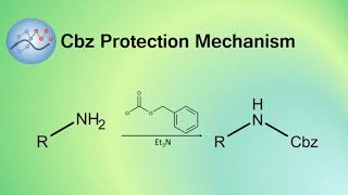 Adding Cbz Protecting Group Mechanism  Organic Chemistry [upl. by Ziul]