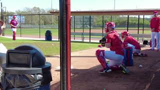 Phillies Spring Training in Clearwater 2023 [upl. by Desma]