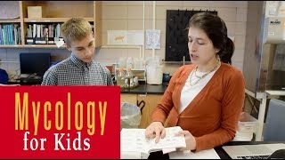 Mycology for Kids  A series of video interviews [upl. by Ezechiel469]