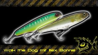 Walk the Dog mit Illex Bonnie [upl. by Behl]