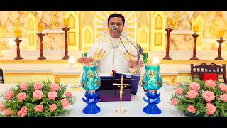 Sunday Holy Mass October 15 530 AM I Malayalam I Syro Malabar I Fr Bineesh Augustine [upl. by Plate]