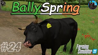 BALES AND COWS  Ballyspring Episode 24 [upl. by Ylrebmit839]