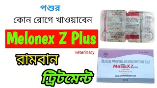 পশুর কোন রোগে খাওয়াবেন Melonex Z plus Vet bolus  Melonex Z plus Veterinary bolus use in Bangla [upl. by Ynnaej337]