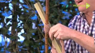 Alan explains how to plant and stake a tree [upl. by Llennyl]